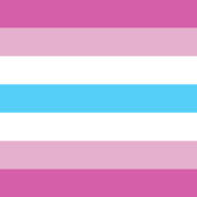 Femboy – a male who expresses/presents themself with femininity with one or more gender qualities