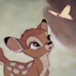 bambi