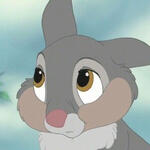 thumper