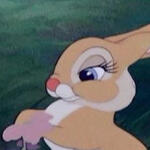 miss bunny