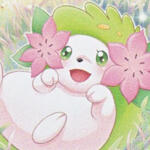 shaymin