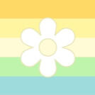 Daisiboy – a gender connected to nature and spring, while identifying as a boy.