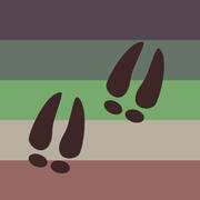 Faunagender - an umbrella term for genders influenced by animals. It can also be a standalone term as a xenogender related to animals in general.