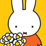 miffy