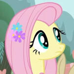 fluttershy